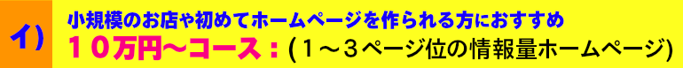 イ)10万円コース:(2~3ページ位の情報量ホームページ)