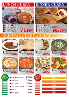 Ａ５判カレーチラシ：№カT0２Ｂ