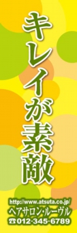 美容のぼり№Ｔ０９