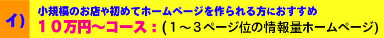 イ）１０万円コース：(２～３ページ位の情報量ホームページ)