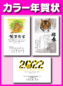 年賀状:カラー印刷